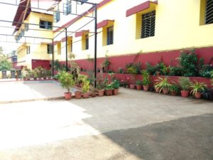 SCHOOL GARDEN